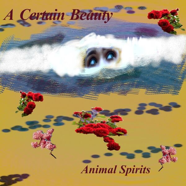 Cover art for A Certain Beauty